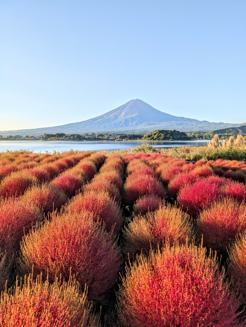 おはようございます。