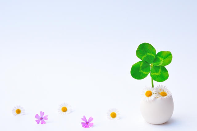 諸外国での摂食障害と日本の摂食障害について