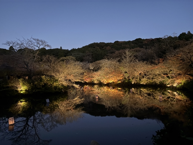 寒いですね⛄️