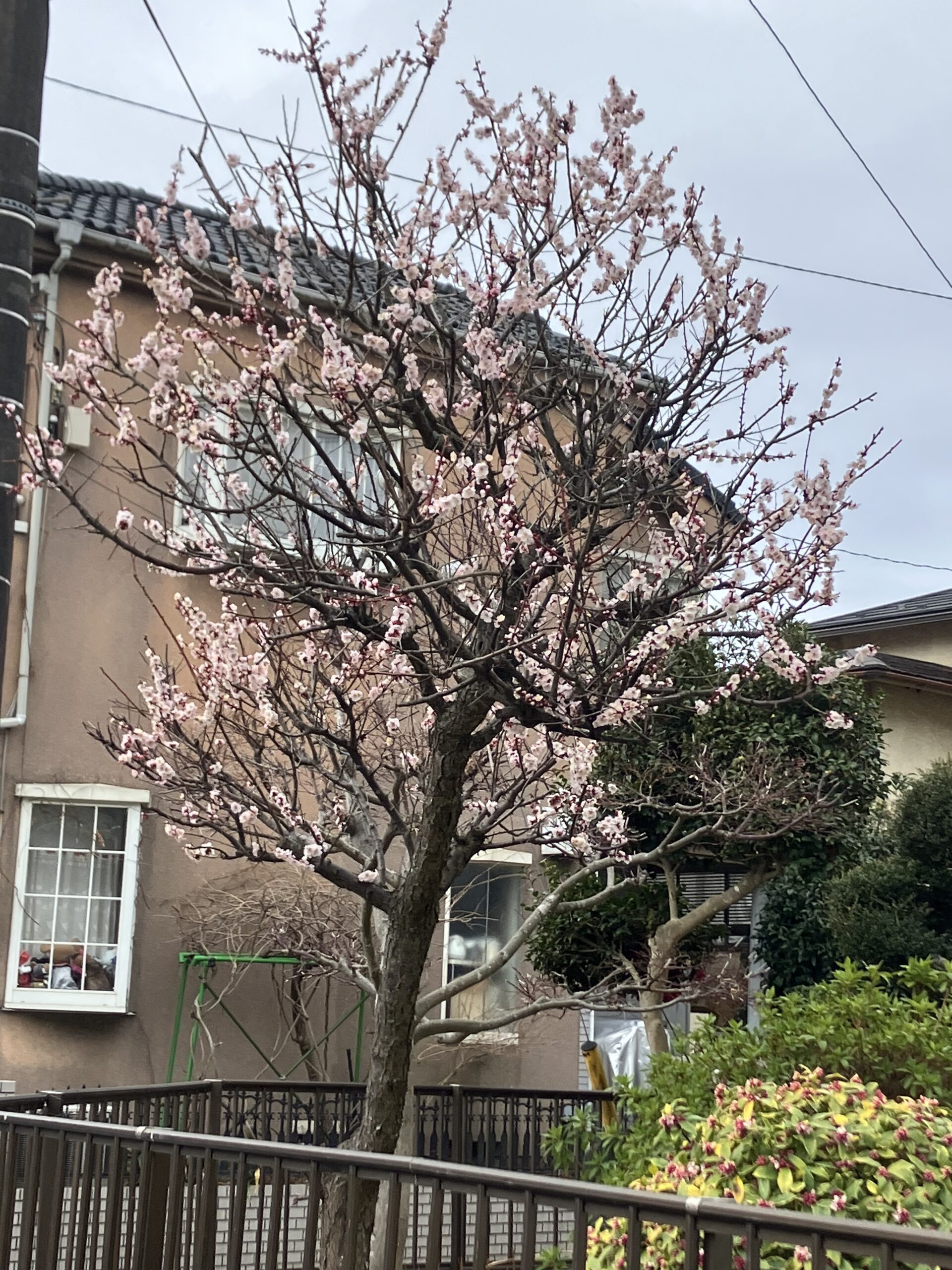 ご無沙汰しております。