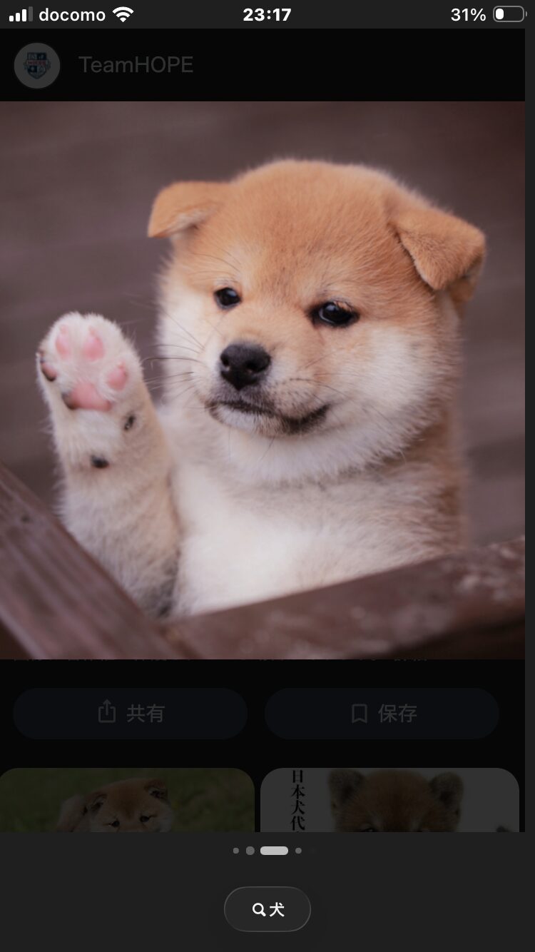 動物愛護