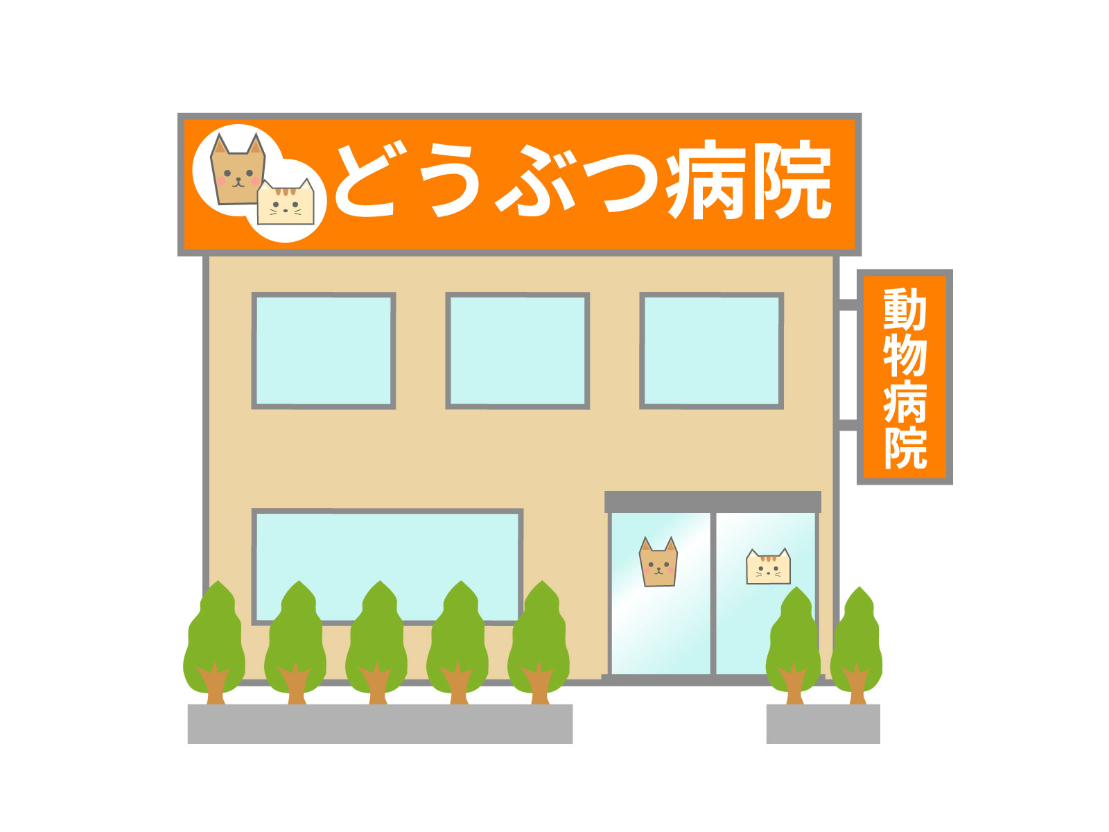 動物病院のはしご