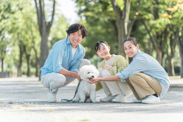 先住犬の呼吸数