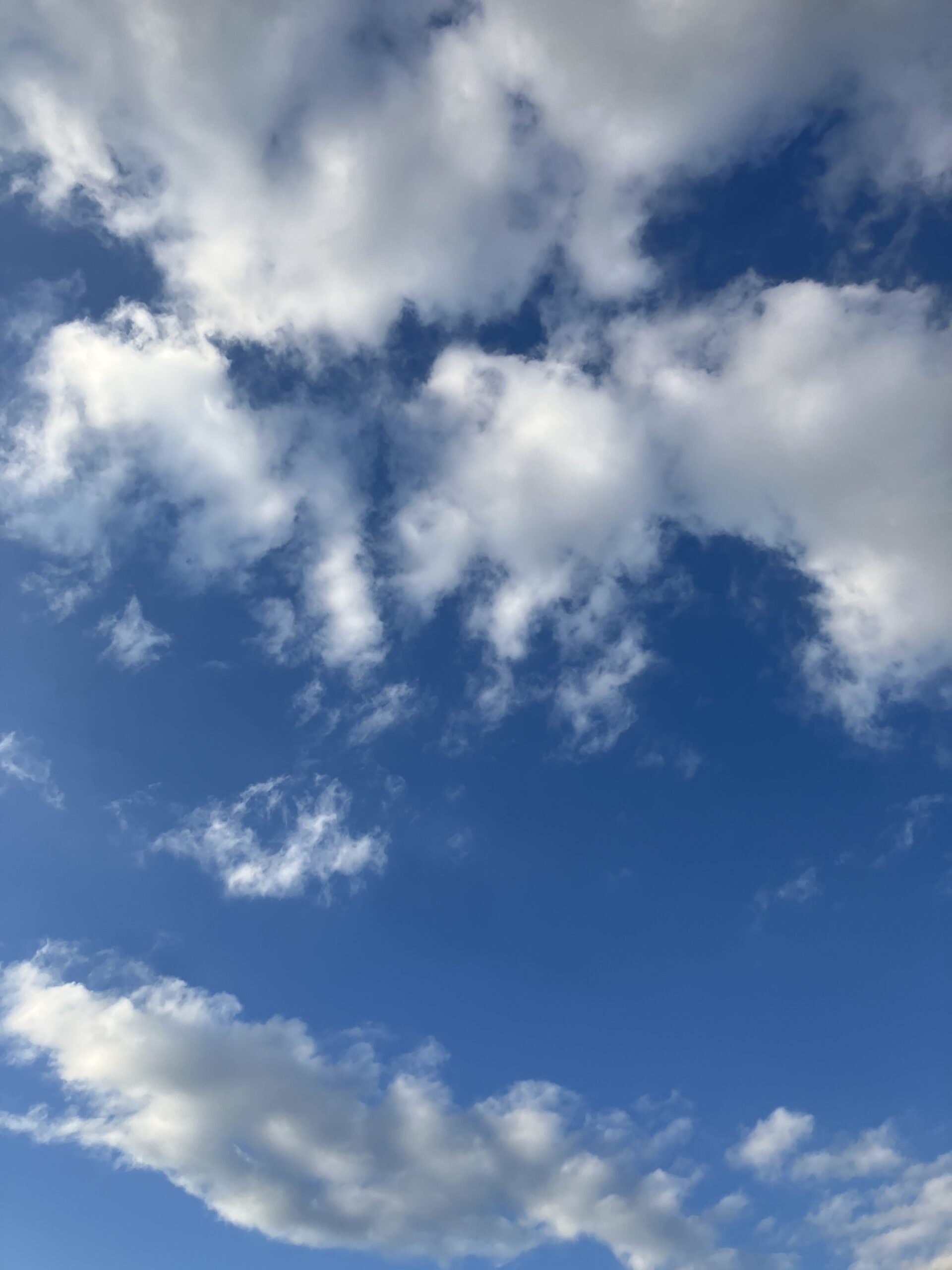 晴れ☀️